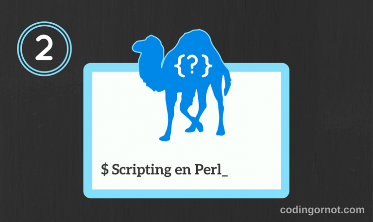 Perl run. Perl run